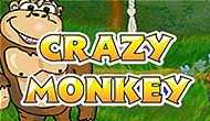 Crazy Monkey